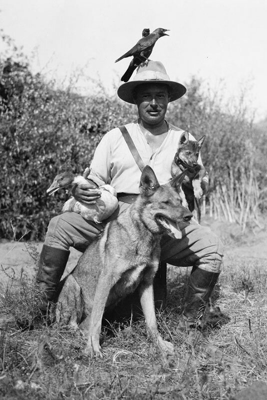 Лофтинг и его питомцы